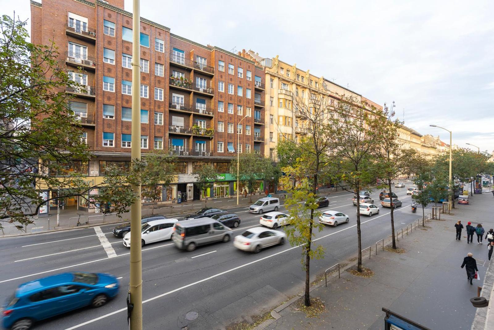 Liszt Ferenc Historic Luxurious Flat Next To Synagogue דירה בודפשט